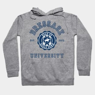 Head Up Heels Down Blue Hoodie